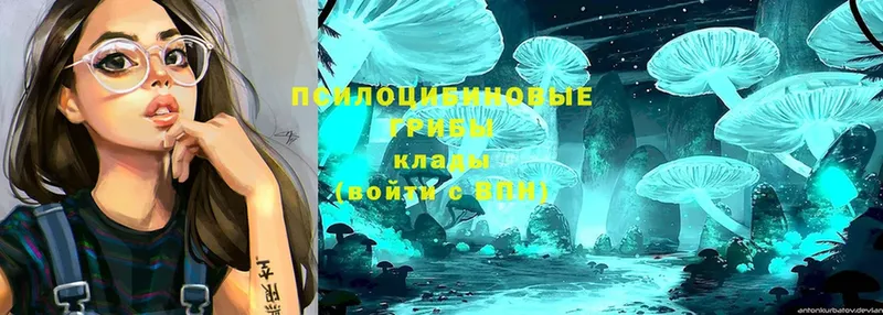 Галлюциногенные грибы Magic Shrooms  Шагонар 